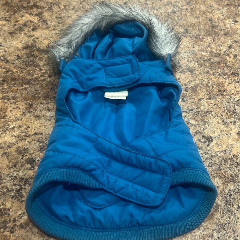 Martha Stewart pets small blue winter coat